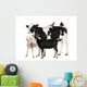 Calf, 8 months old, standing with a Polish chicken and a hen Wall Decal