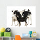 Calf, 8 months old, standing with a Polish chicken and a hen Wall Decal