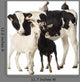 Calf with Goats and Hens Wall Decal