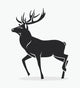 Isolated deer Wall Decal