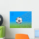 Soccer Ball in Goal Wall Mural
