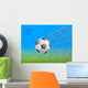 Soccer Ball in Goal Wall Mural