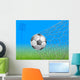 Soccer Ball in Goal Wall Mural