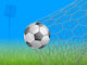 Soccer Ball in Goal Wall Mural