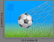 Soccer Ball in Goal Wall Mural