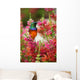 Hummingbird on branch Wall Mural