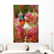 Hummingbird on branch Wall Mural