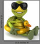Fun Turtle