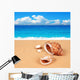 Shell Sandy Beach