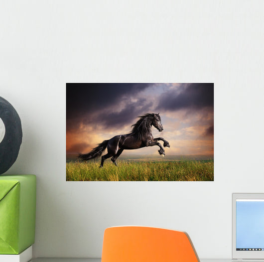 Black Friesian Horse Gallop