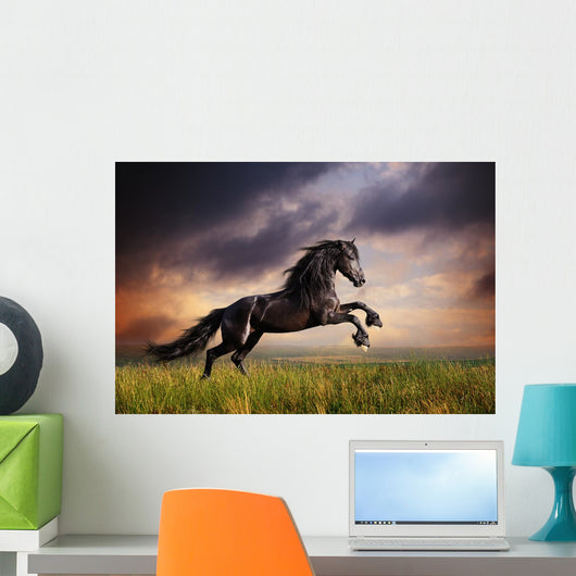 Black Friesian Horse Gallop