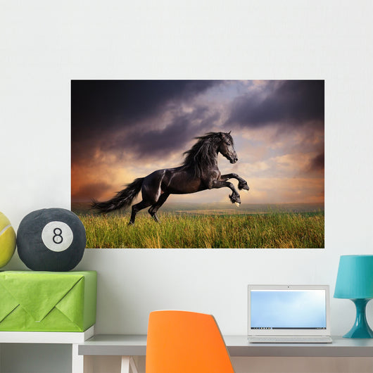 Black Friesian Horse Gallop
