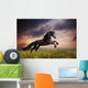 Black Friesian Horse Gallop