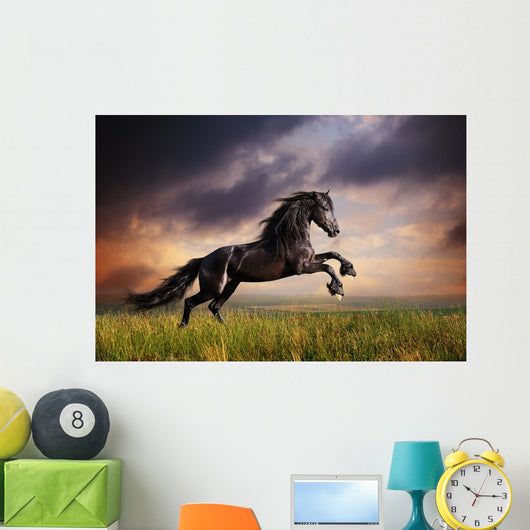 Black Friesian Horse Gallop