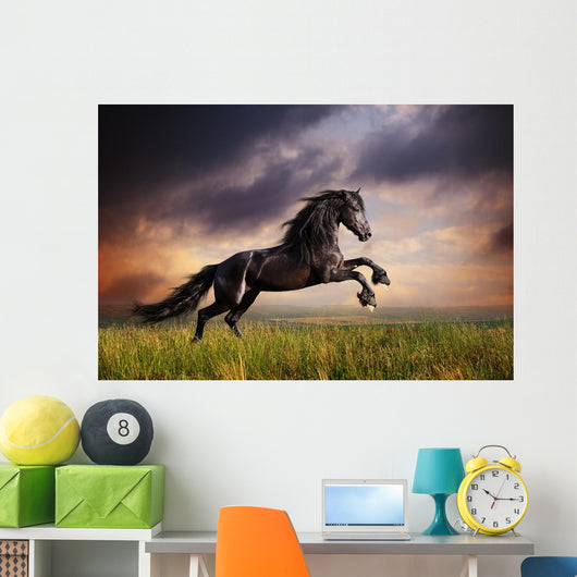 Black Friesian Horse Gallop