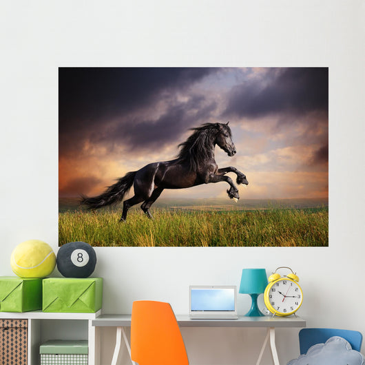 Black Friesian Horse Gallop
