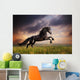 Black Friesian Horse Gallop