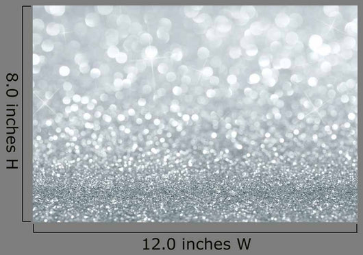Shiny Silver Defocused with