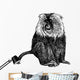 Shaggy Monkey Wall Decal