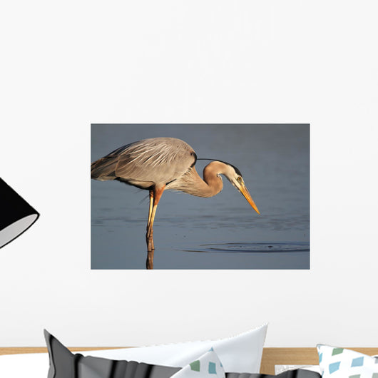 Great Blue Heron Stalking Wall Mural