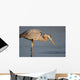 Great Blue Heron Stalking Wall Mural