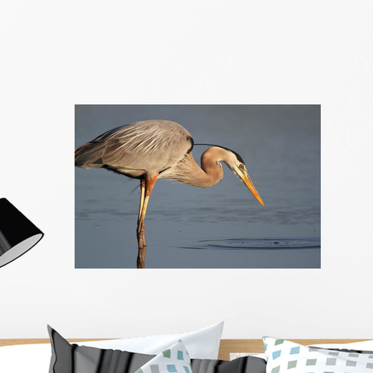Great Blue Heron Stalking Wall Mural