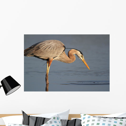 Great Blue Heron Stalking Wall Mural