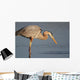 Great Blue Heron Stalking Wall Mural