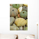 Sea Urchin and Shell Wall Mural