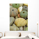 Sea Urchin and Shell Wall Mural