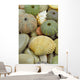 Sea Urchin and Shell Wall Mural
