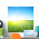 Cornflower Field Clear Blue
