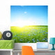 Cornflower Field Clear Blue