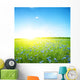 Cornflower Field Clear Blue