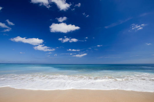 Beautiful Tropical Beach Wall Mural