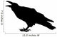 Cawing raven Wall Decal