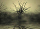 Mysticism Wall Decal
