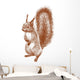 standing squirrel Wall Decal