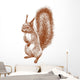 standing squirrel Wall Decal