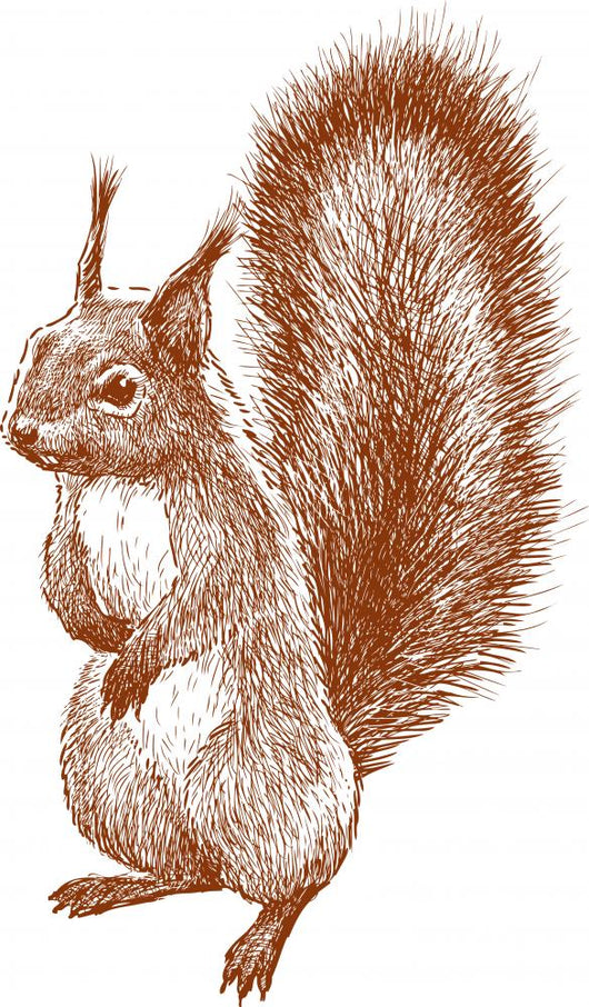 standing squirrel Wall Decal