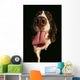 Spaniel Lick Wall Mural