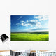 Field Spring Grass and