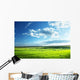 Field Spring Grass and
