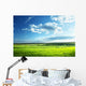 Field Spring Grass and