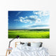 Field Spring Grass and