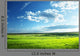 Field Spring Grass and