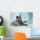 Beautiful Cats Wall Mural