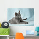 Beautiful Cats Wall Mural