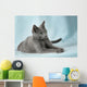 Beautiful Cats Wall Mural