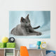 Beautiful Cats Wall Mural